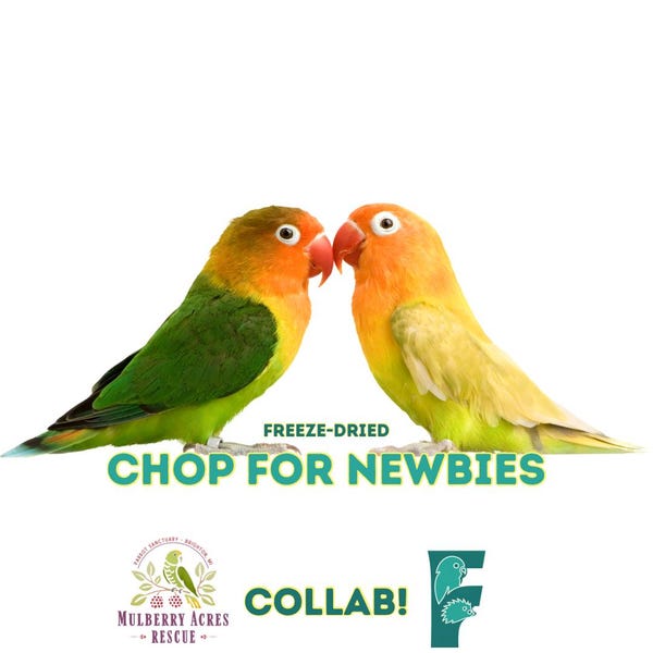 Freeze-dried food for parrots MAR Collab Bird Chop for Newbies
