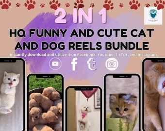 2 in 1 Cat and Dog Reels Bundle 4,332 Video Reels Social Media Impression Engagement Material Animal Pet Lover Instagram Tiktok FB Youtube.