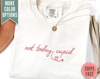 Anti Valentines Shirt, Love Stinks Tee, Anti Love Shirt, Galentines Day Shirt, Friends Valentine Gift, Funny Valentines Day Tee for Women
