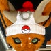 see more listings in the BONNETS POUR FURSUITS section