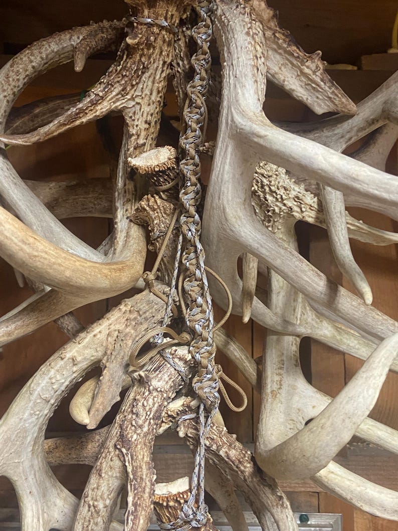 Shed Antler Hanger - Etsy