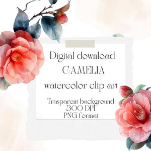 10 Camellia blossom, Watercolor ClipArt, Digital Download PNG Files, For Commercial Use, Transparent, Background, Cards, Papercraft projects