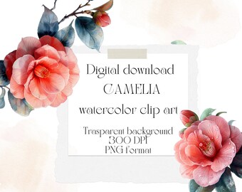 10 Camellia blossom, Watercolor ClipArt, Digital Download PNG Files, For Commercial Use, Transparent, Background, Cards, Papercraft projects