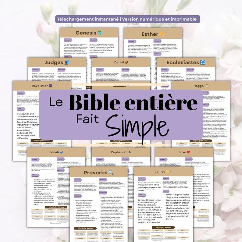 Op de afbeelding: Een verzameling afdrukbare Bijbelstudiegidsen. De gidsen zijn gerangschikt rond een centrale titel in het Frans, "Le Bible enti&egrave;re Fait Simple". Elke gids bevat tekst en markeringen, met titels als "Genesis", "Esther" en "Proverbs".