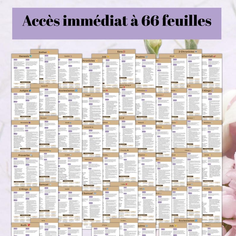Op de afbeelding: Een verzameling van 66 vellen, elk met tekst, gerangschikt in een raster. De vellen hebben een lichtbruine achtergrond met zwarte tekst. De titel "Acc&egrave;s imm&eacute;diat &agrave; 66 feuilles" staat bovenaan. De vellen zijn gelabeld met namen als "Genesis" en "Esther".