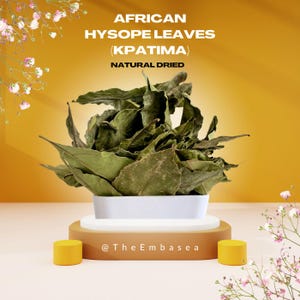 Organic Hysope leaves from West Africa (Kpatima) Natural dried / Spiritual Cleansing