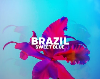 Brazil - Sweet Blue