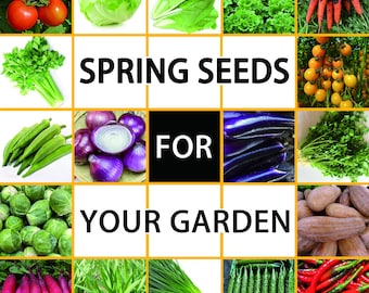Könnte beinhalten: Eine Collage aus Bildern, die verschiedene Frühlingssaaten für Ihren Garten zeigen. Die Bilder zeigen Gemüse wie Zwiebeln, Radieschen, Karotten und Auberginen sowie Kräuter wie Petersilie und Koriander.