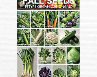 16 Varieties Fall Vegetable Seeds Over 20,000 Seeds