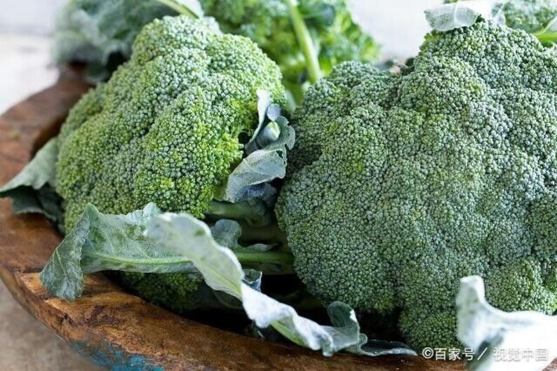 Broccoli -Autumn Beauty