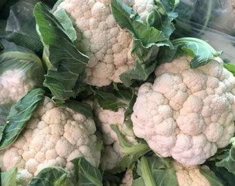 Cauliflower -Atlas Vegflower Vegetable Seeds