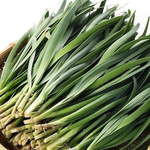 May include: A bunch of fresh green garlic chives, also known as Chinese chives, in a woven basket. The chives are long and slender with a bright green color.