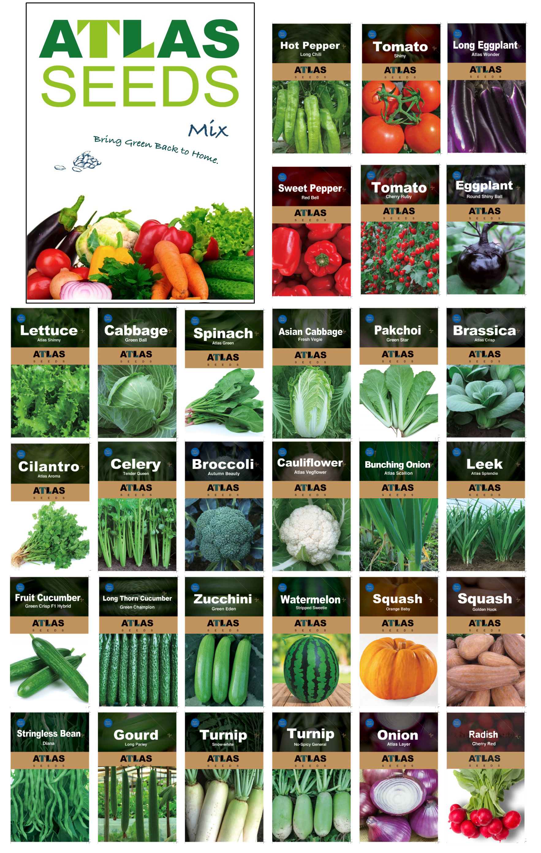 29 Varieties Atlas Vegetable Seeds Survival Garden Kit - Over 50,000 Seeds  - Etsy