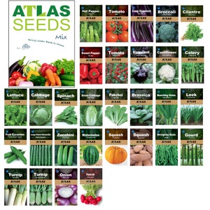 29 Varieties Atlas Vegetable Seeds Survival Garden Kit - Over 50,000 Seeds