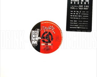 Hyenas In The Desert - Can You Feel It, 12" Vinyl Single, Vintage 1996, East Coast Hip-Hop, Hip Hop, G-Funk, Very Good Condition! Rare Rap