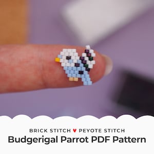 Peut inclure: Un petit perroquet perruche bleu et blanc en perles, réalisé avec des techniques de tissage de perles en point de brique et en point de peyote. Le modèle est disponible en téléchargement PDF.