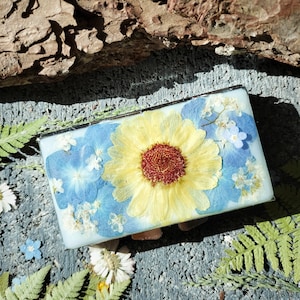 Decorative pill box, Pill Case 7 day, Weekly pill box, Birth Control Case, Pill Container, Medicine organizer, Pocket pill case