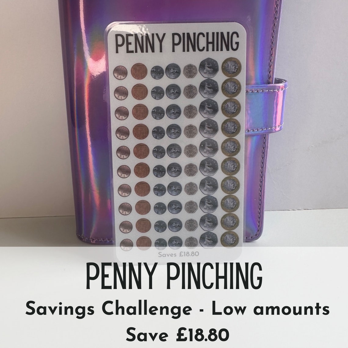 Penny Pinching Savings Challenge Laminated A6 Tracker Etsy(02)