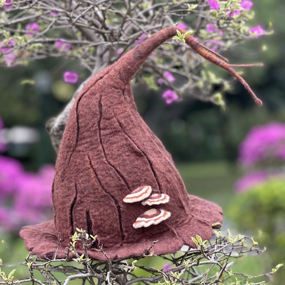 Hand felted Wizard Mushroom Wool Hats Hand felted Wizard Mushroom Wool Hats