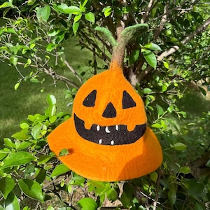 May include: An orange felt Halloween hat shaped like a jack-o'-lantern. The hat features black cut-out eyes and a mouth with white teeth. A green stem and leaves top the hat, which is set against a backdrop of green foliage.