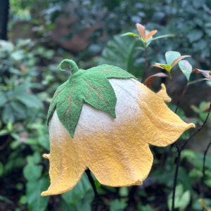 May include: A yellow felt flower hat with a green felt leaf on top. The hat is ombre, fading from white to yellow.