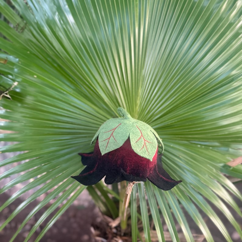 Puede incluir: Una flor de fieltro hecha a mano con un centro rojo oscuro y p&eacute;talos negros. La flor tiene hojas verdes con venas rojas y un tallo verde. La flor se encuentra frente a una gran hoja de palma verde.