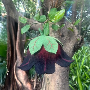 Puede incluir: Adorno floral de fieltro hecho a mano con un degradado de color burdeos oscuro y negro. La flor tiene una parte superior verde en forma de hoja con detalles de venas rojas. El adorno cuelga de una rama de &aacute;rbol.