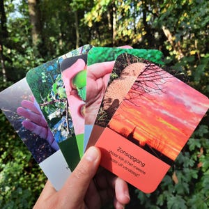L'Oracolo della Forza della Terra ~ Carte Oracolo Olandese ~ Mazzo delle Domande del Diario