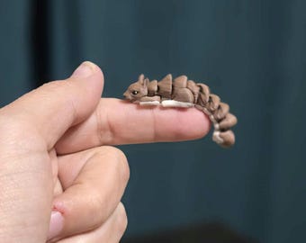Fingerling Squirrel – Gelede bureauhond (ong. 2")