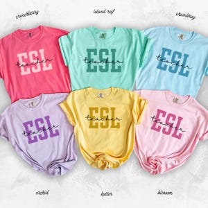 ESL Teacher Shirt English Language Learner Teacher Shirt Comfort Colors  ESL Teacher Appreciation Multilingual Teacher Gift New ESL Teach