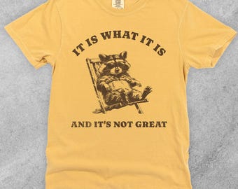 Raccoon Lover Shirt, It Is What It Is Funny Wildlife Tee, Cute Animal Graphic Shirt, Vintage Raccoon Gift, Silly shirt, Meme shirt Retro y2k