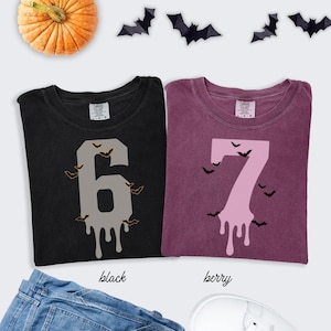 6 7 Shirts Comfort colors Shirt Couples Halloween Funny Matching Shirt Trendy Tiktok Halloween Costume Shirt 67 Trend Six Seven Meme Pumpkin image 7