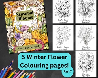 5 Winter Flower Colouring Pages (Seasonal Blooms Part 7)