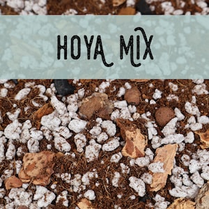 Hoya Potting Mix; Organic Soilless Potting Blend; Chunky Plant Substrate; Soil Free Grow Medium