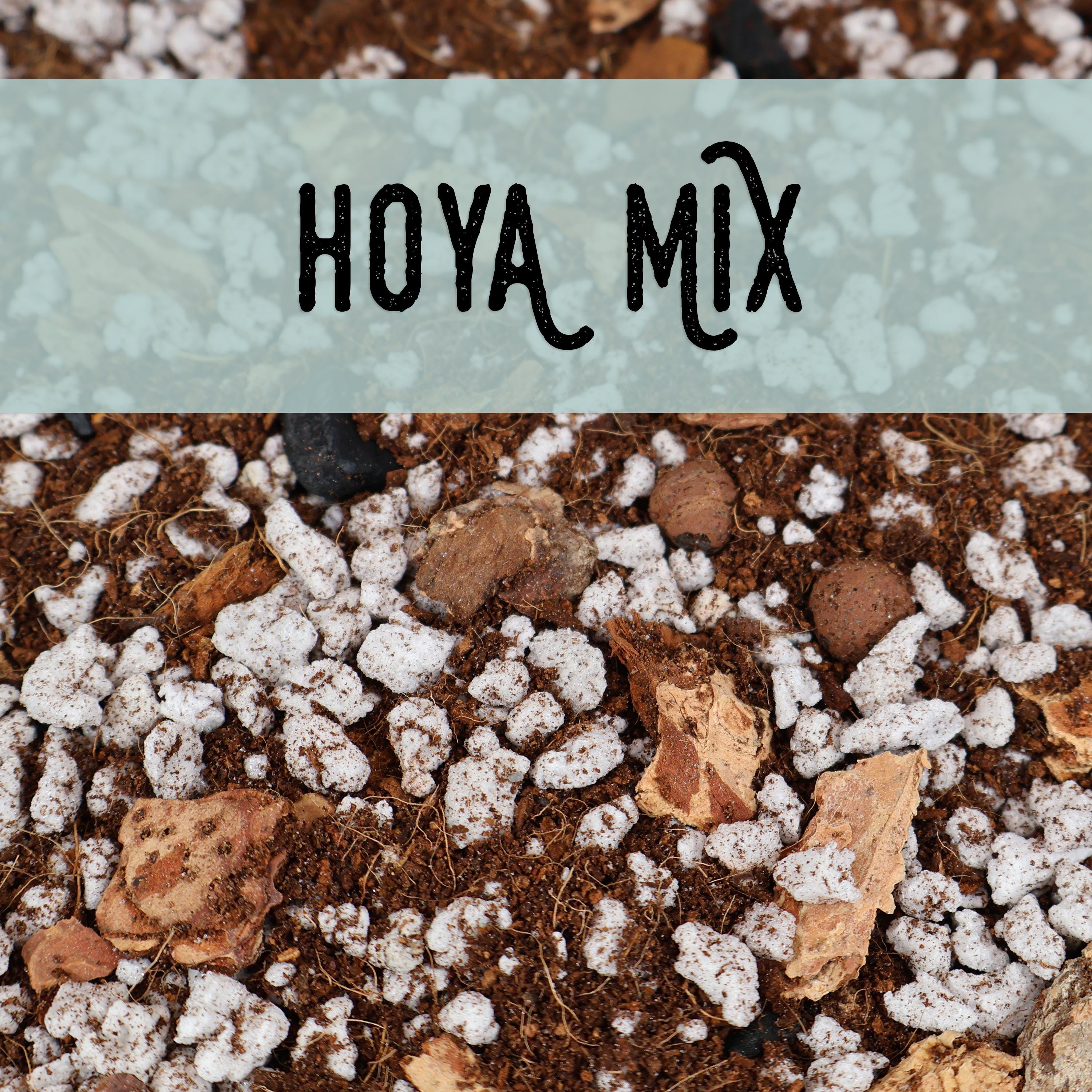 Hoya Potting Mix; Organic Soilless Potting Blend; Chunky Plant