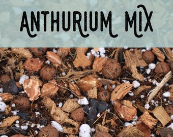Blueberry Potting Mix - Professional Mix - Etsy
