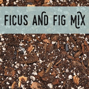 May include: Close-up of a soil mix for plants, with the text "FICUS AND FIG MIX" in black letters on a light blue background. The soil is a mix of dark brown, light brown, and white particles, with visible pieces of bark.