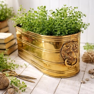 Puede incluir: Una jardinera dorada, de forma ovalada, llena de plantas verdes. La jardinera tiene un detalle de cabeza de león con un asa de anillo. La jardinera está sobre una superficie de madera blanca, con tijeras y cuerda cerca.