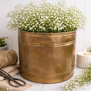 Puede incluir: Un gran cubo de latón antiguo rebosante de delicadas flores blancas de paniculata. El cubo tiene forma cilíndrica con bandas horizontales. También se ven una vela encendida, hilo y tijeras.