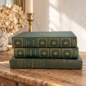 May include: A stack of three hardcover books with green covers. The top two books feature gold-embossed spines with the titles Prince Otto and The Dynamiter by Stevenson. The bottom book has a green spine with the title The Opposing Self.