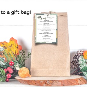 Puede incluir: Una bolsa de regalo de papel marr&oacute;n con una etiqueta verde y dorada que dice "Mom Survival Kit" con una lista de barras de chocolate y un mensaje sobre el amor y el afecto que tienes por tu madre.