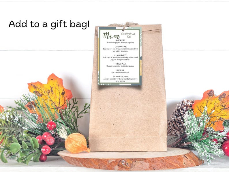 Puede incluir: Una bolsa de regalo de papel marr&oacute;n con una etiqueta verde y dorada que dice "Mom Survival Kit" con una lista de barras de chocolate y un mensaje sobre el amor y el afecto que tienes por tu madre.