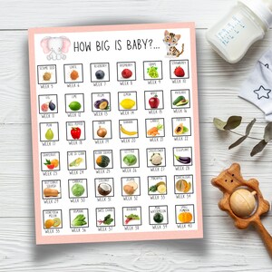 May include: A pink and white printable chart with an illustration of an elephant and a cat. The chart shows a fruit or vegetable for each week of pregnancy, starting with a sesame seed for week 5 and ending with a small pumpkin for week 40.