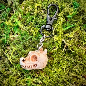 May include: A keychain featuring a small, detailed skull pendant. The skull is off-white with visible teeth and eye sockets, attached to a silver chain and a black metal clasp. The background is a bed of vibrant green moss.
