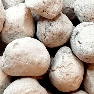 May include: Close-up of a pile of small, round, white clay balls. The balls are smooth and have a slightly rough texture.