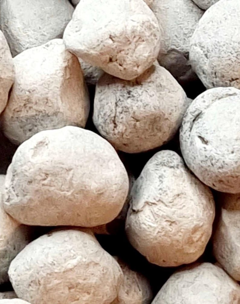 May include: Close-up of a pile of small, round, white clay balls. The balls are smooth and have a slightly rough texture.