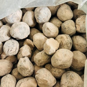 May include: A close-up image of a bag filled with small, round, light brown stones. The stones are smooth and have a slightly rough texture.