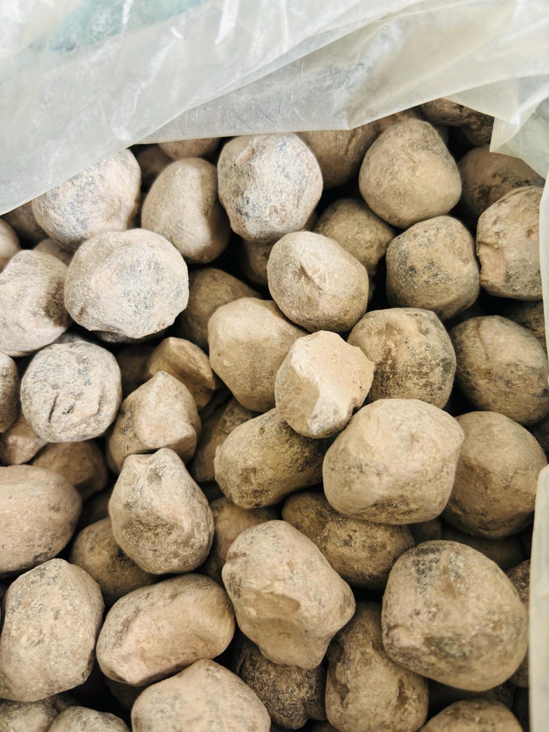 May include: A close-up image of a bag filled with small, round, light brown stones. The stones are smooth and have a slightly rough texture.