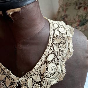May include: Cream-colored lace collar with a floral and leaf pattern, displayed on a brown dress form. The collar features intricate openwork and a scalloped edge, showcasing a vintage aesthetic.