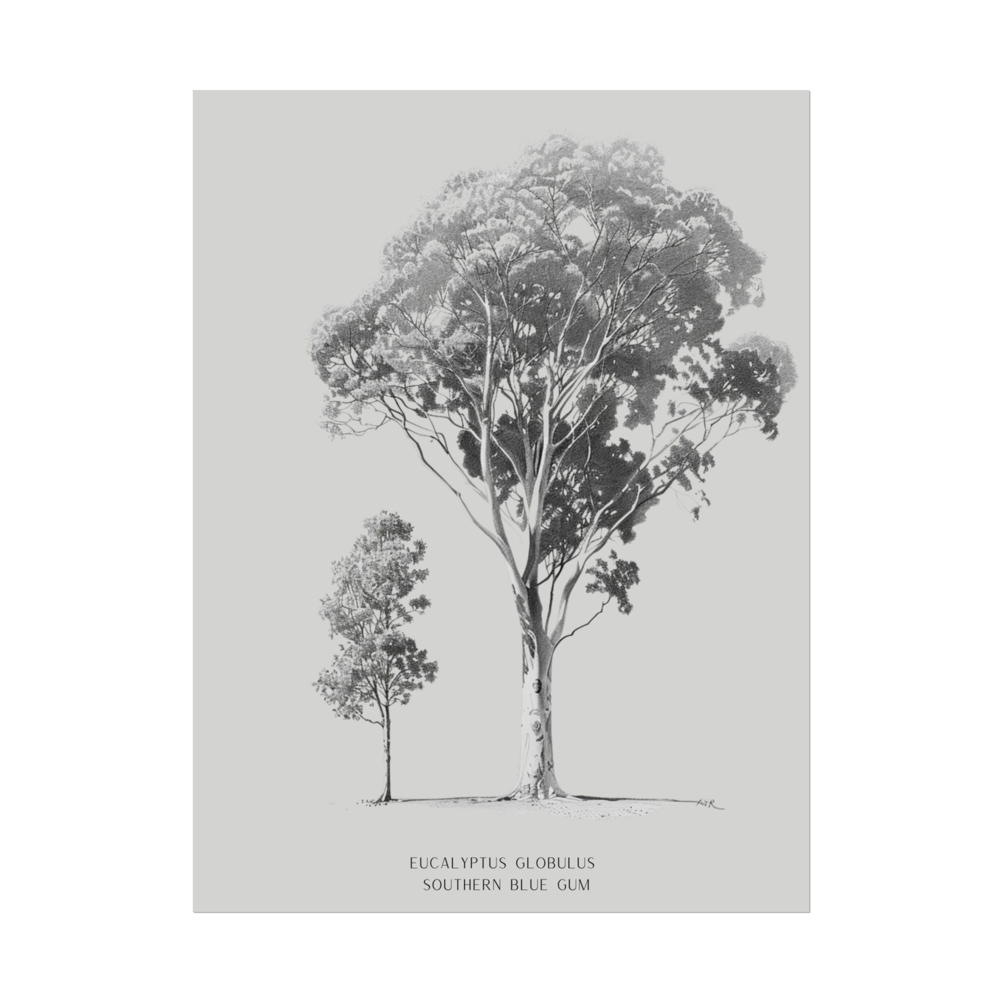 Australian Native Art Eucalyptus Tree Bush Wall Art Gum Aussie Etsy Australia